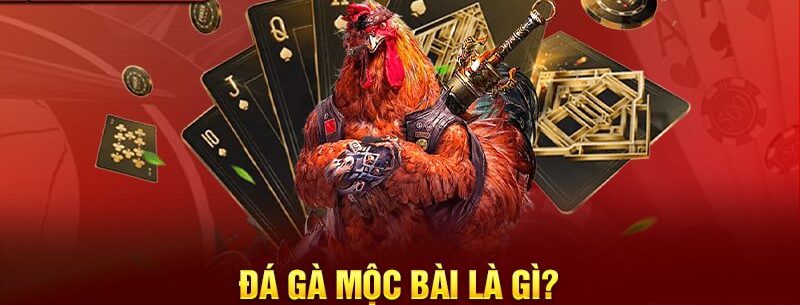 Thông tin giới thiệu về đá gà Mộc Bài