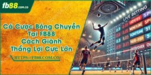 Cá Cược Bóng Chuyền Tại FB88 | Cách Giành Thắng Lợi Cực Lớn