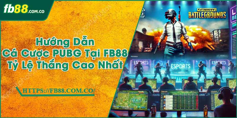 Hướng Dẫn Cá Cược PUBG Tại FB88 | Tỷ Lệ Thắng Cao Nhất